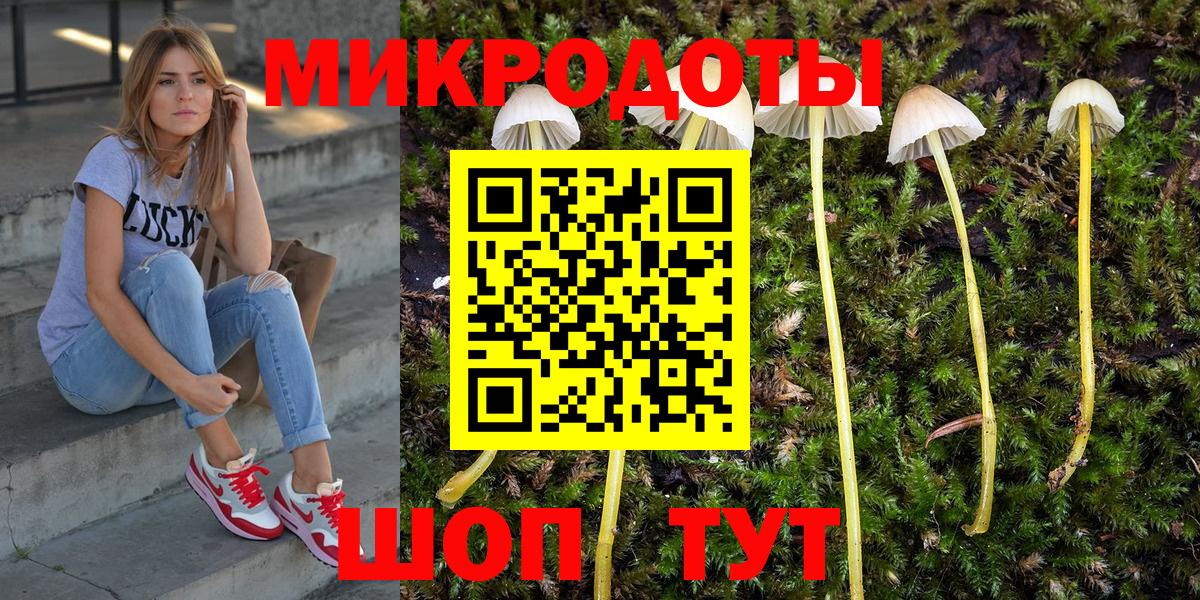 Гусиноозёрск  Псилоцибиновые грибы ЛСД  Вход с VPN  Псилоцибиновые грибы Psilocybine cubensis 
